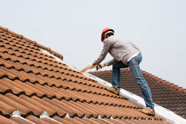 Best Roof Ventilation Installation  in Ben Avon, SC